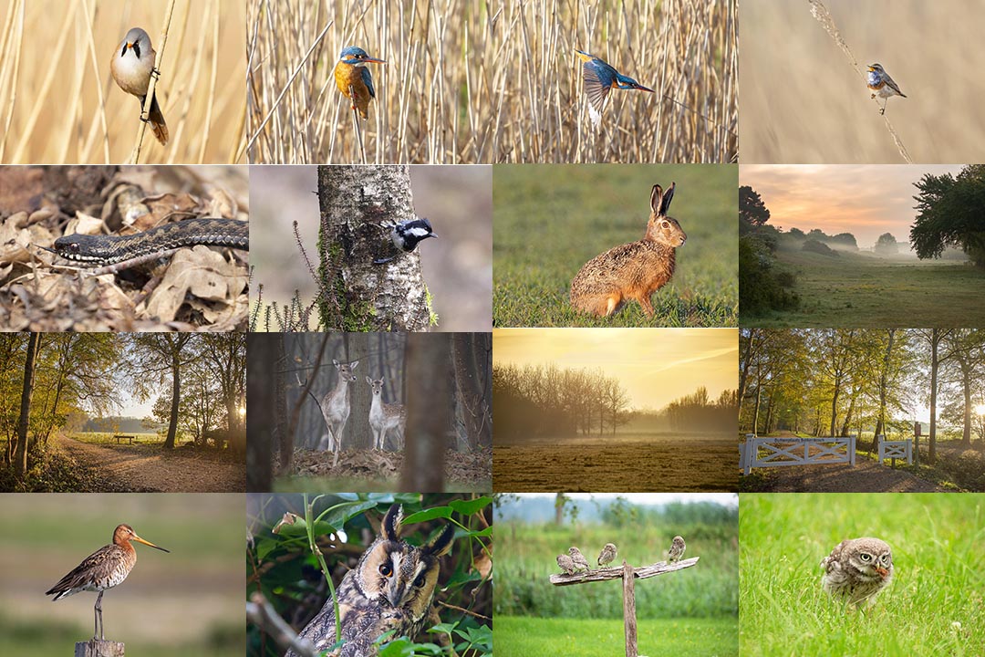 fotografie workshop cursus Zeeland